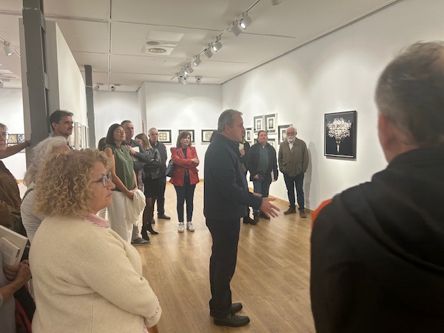 Visita Guiada de la exposición